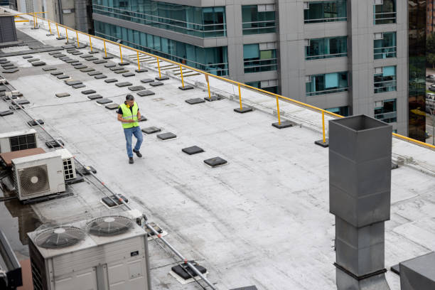 Best Roof Insulation Installation  in Keokea, HI
