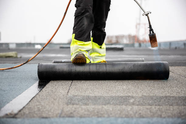 Best Steel Roofing  in Keokea, HI