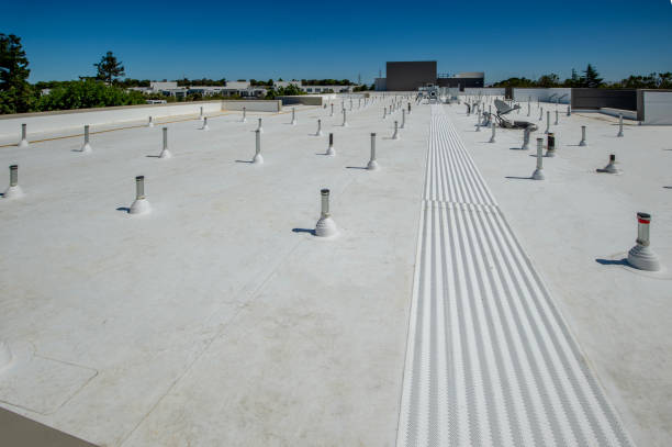 Best Sheet Metal Roofing  in Keokea, HI